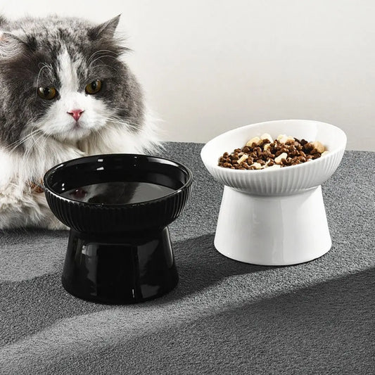 Slanted Elevated Ceramic Cat Bowl main product image