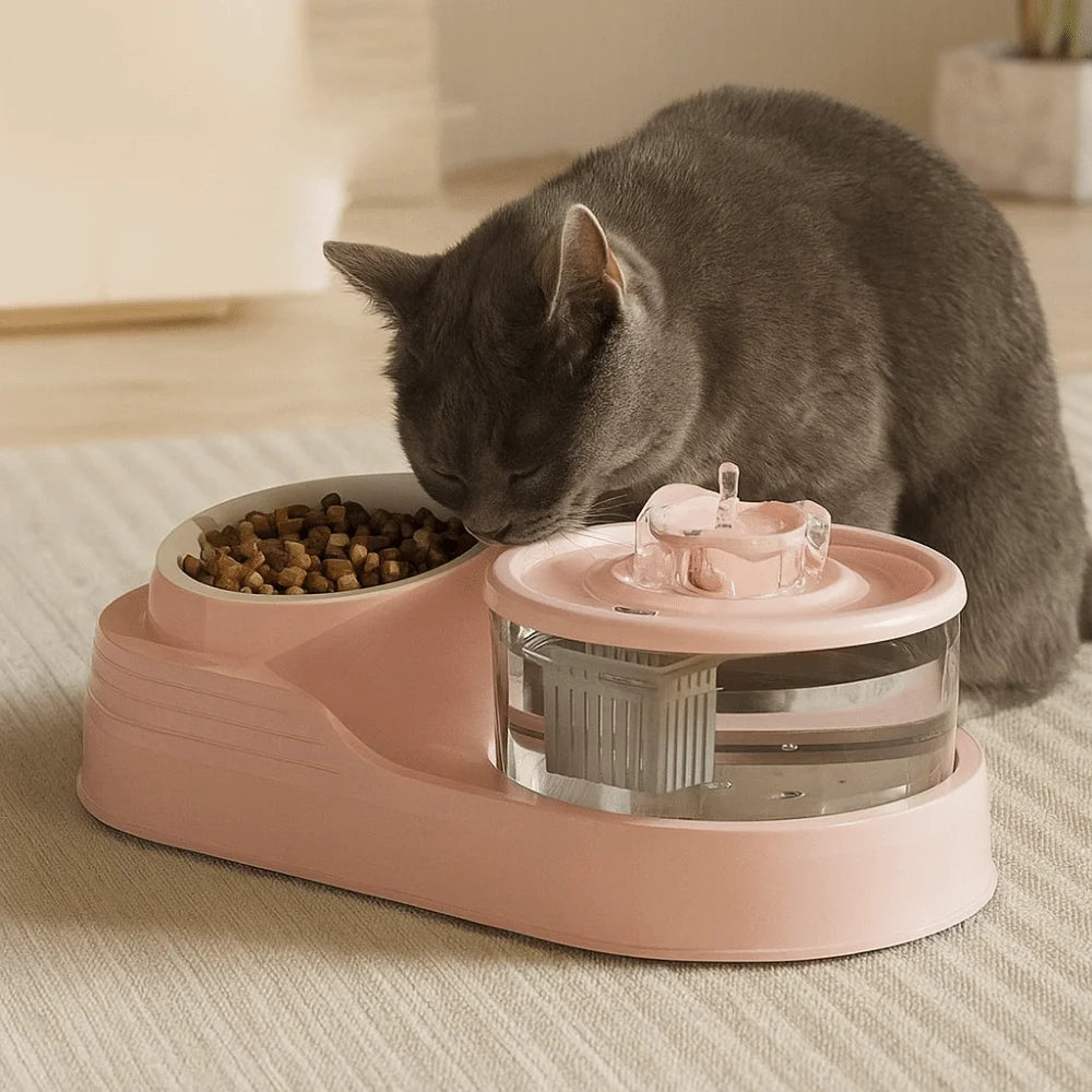USB Pet Water Fountain and Feeder main product image