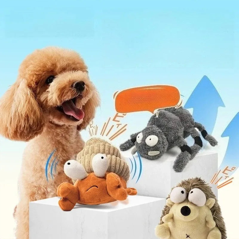 Interactive Dog Toy for Chewing and Play main product image