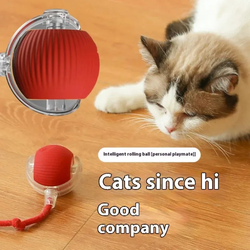 Automatic Rolling Cat Toy Ball with Smart Sensor product image 4