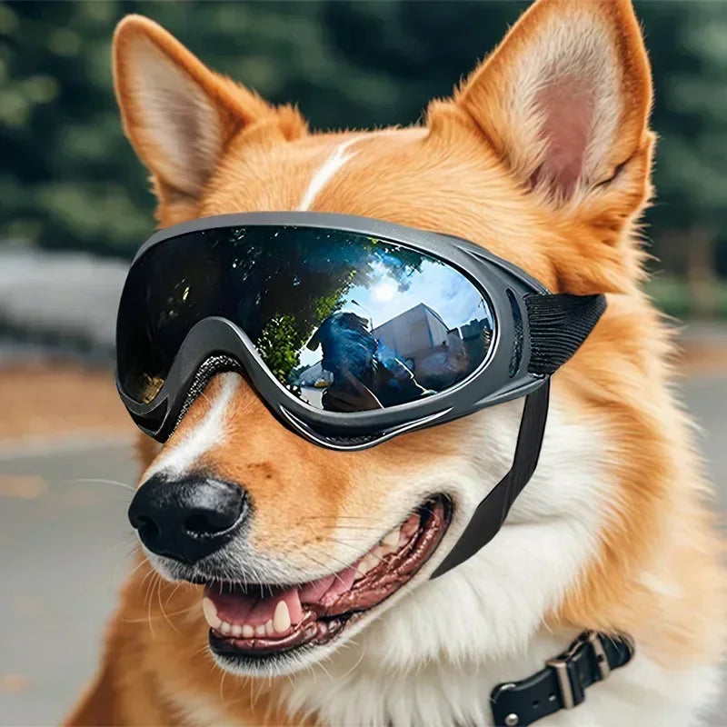Adjustable Anti-UV Windproof Dog Goggles for Outdoor Use - front view