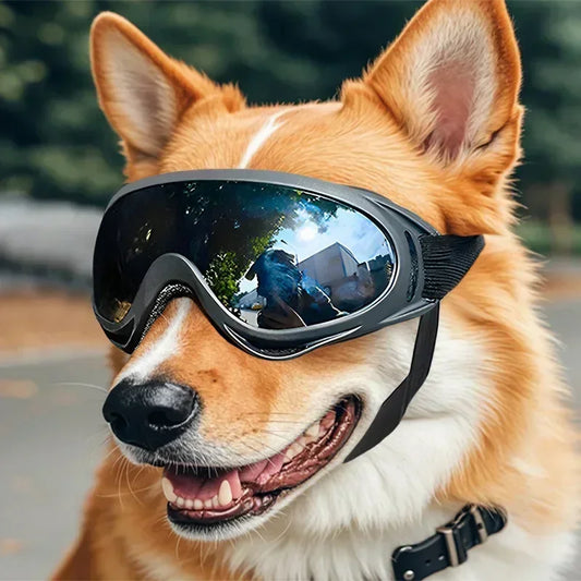 Adjustable Anti-UV Windproof Dog Goggles for Outdoor Use - front view