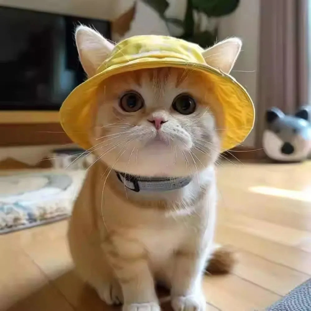 Cat Bucket Sun Hat with Ear Holes product image 2