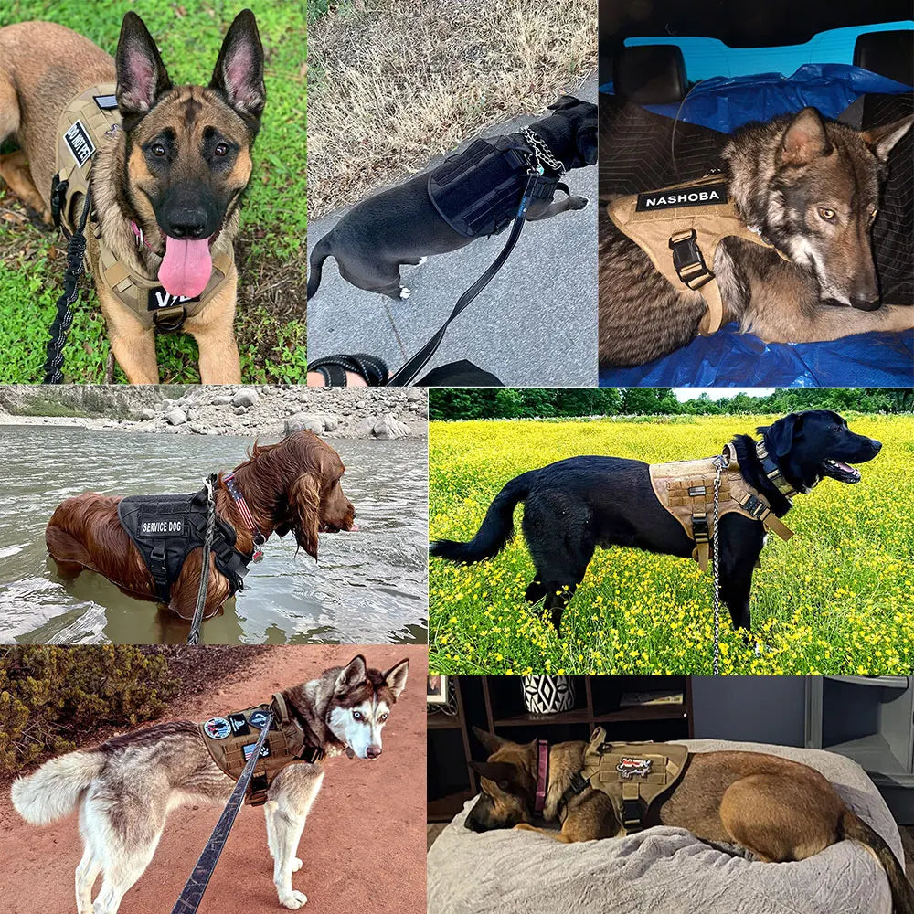 Tactical Dog Harness and Leash Set product image 6