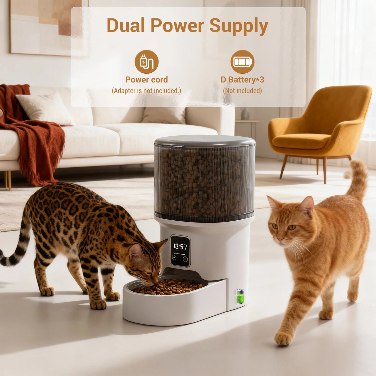Automatic Pet Feeder with 6-Meal Portion Control product image 2