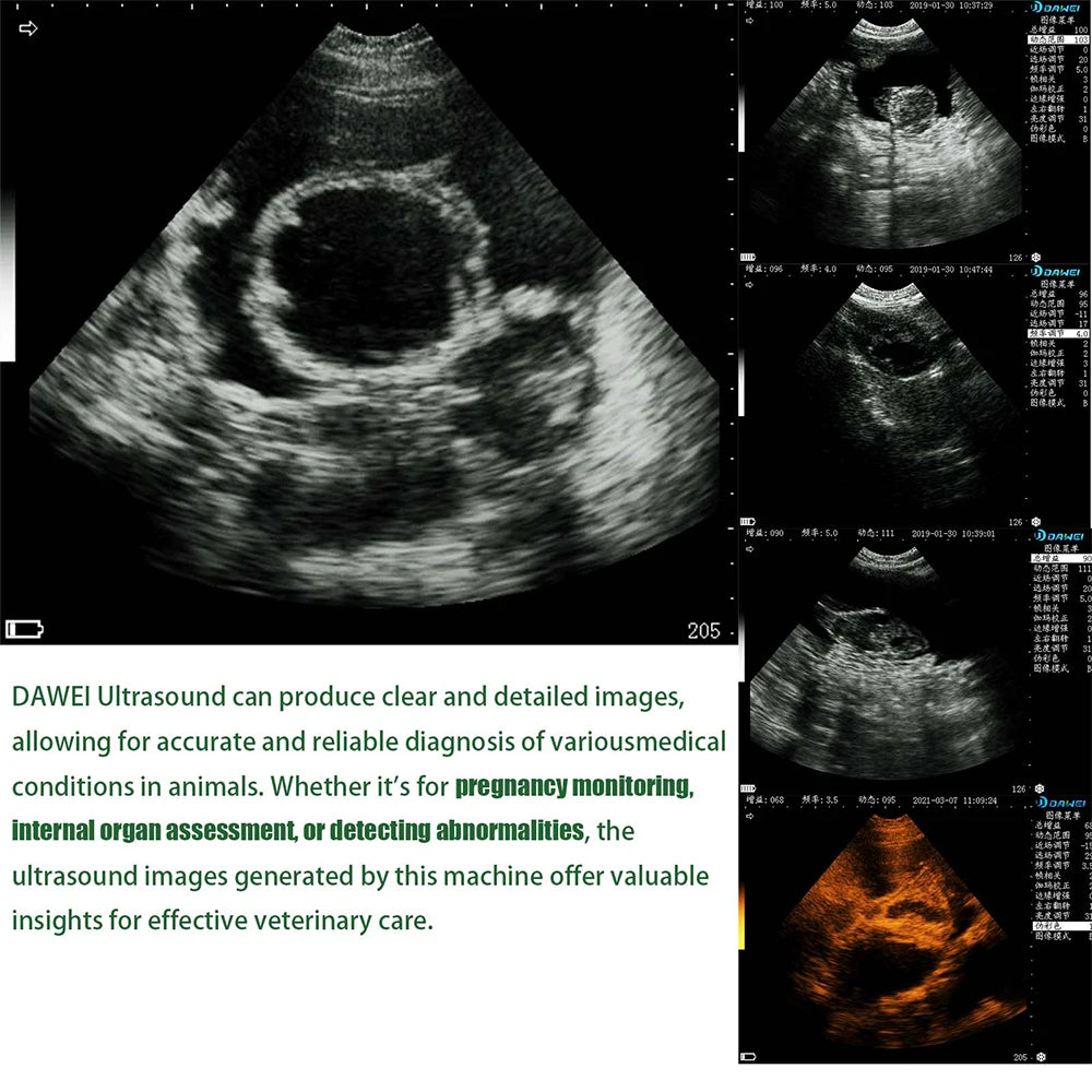 Portable Veterinary Ultrasound Scanner with 3.5MHz Probe