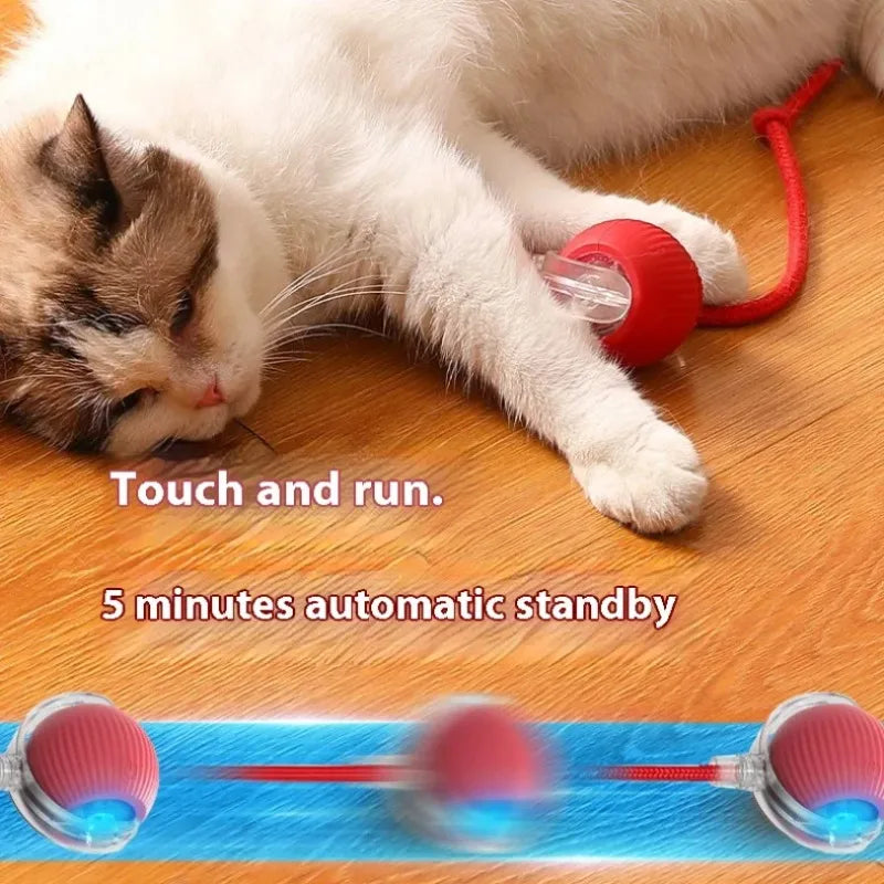 Automatic Rolling Cat Toy Ball with Smart Sensor product image 5