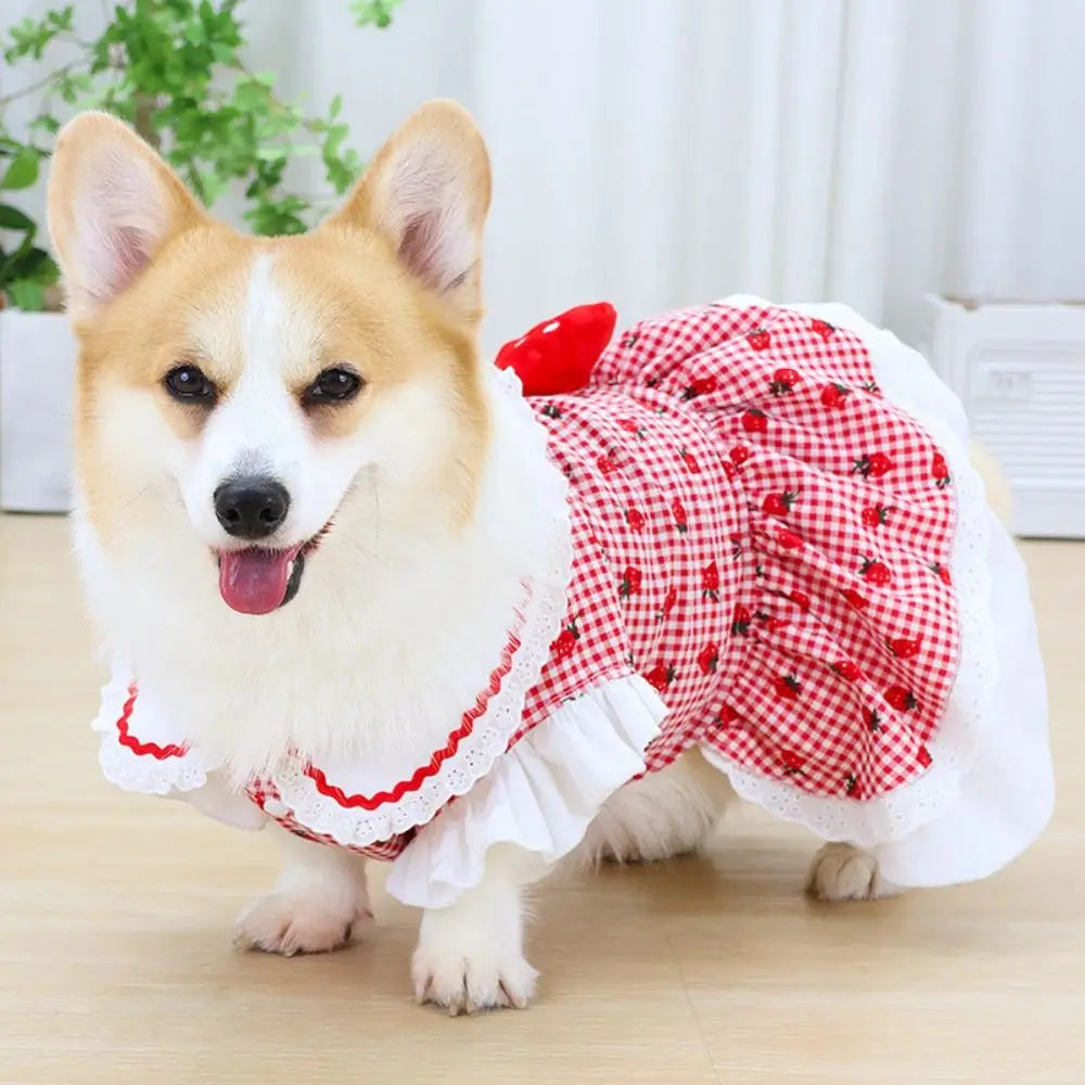 Strawberry Pet Dress for Dogs and Cats main product image
