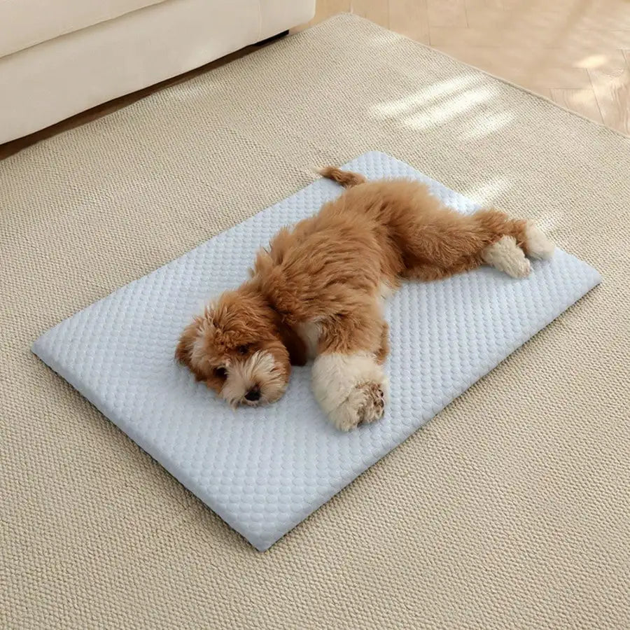 Breathable Cooling Cat Bed with Thick Non-Slip Padding