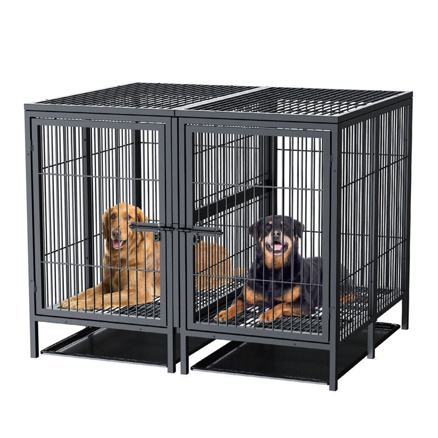 Heavy-Duty Metal Dog Crate with Removable Tray - alternate angle view
