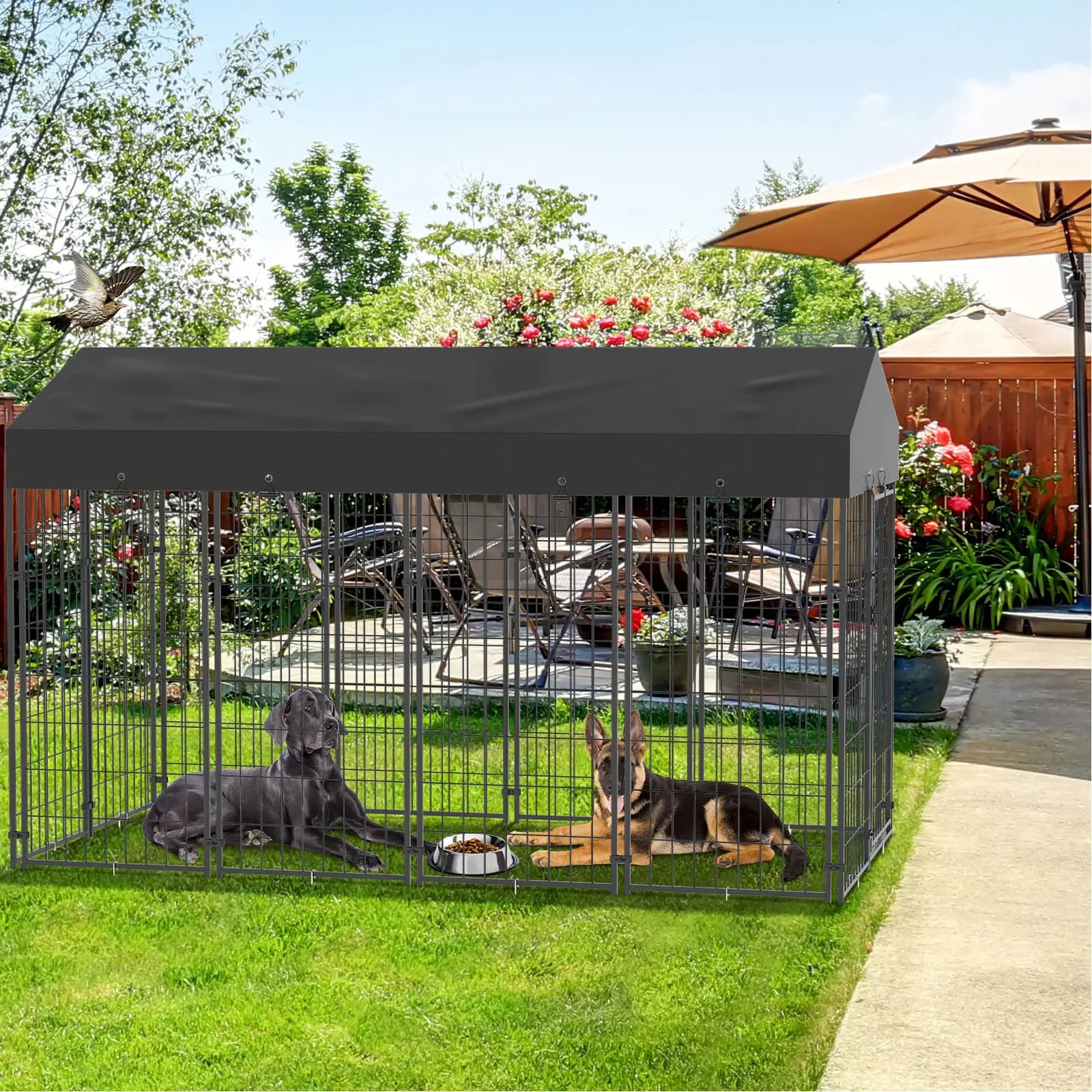 Outdoor Dog Kennel and Playpen with Roof product image 2