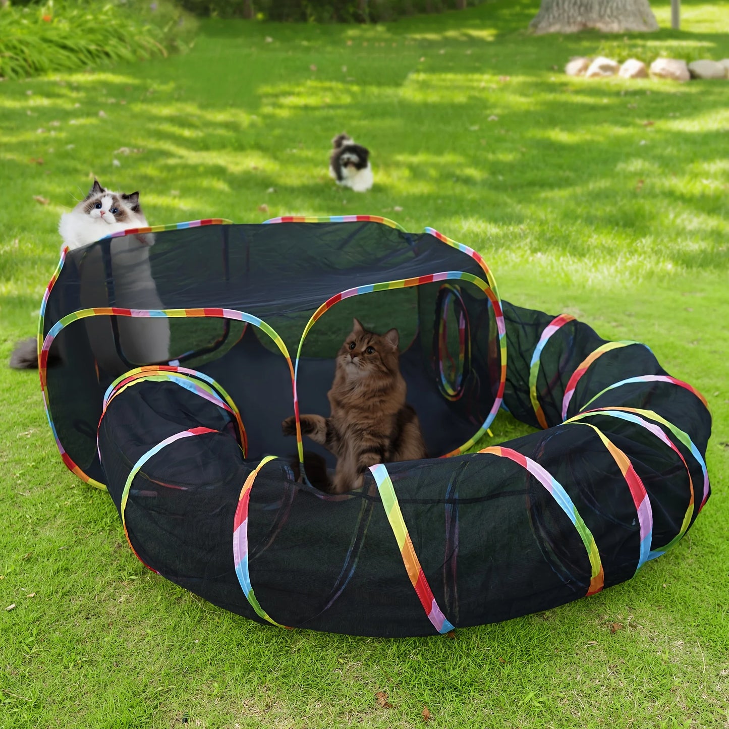 Cat Tunnel, Outdoor Cat Enclosures Playground, Rainbow Cat Playpen For Cats, Kitty And Small Animals, Include Portable Cat Tent With Circle Cat Tunnel JUYHGV