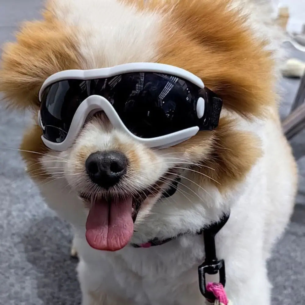 UV-Resistant Dog Goggles for Outdoor Protection product image 6