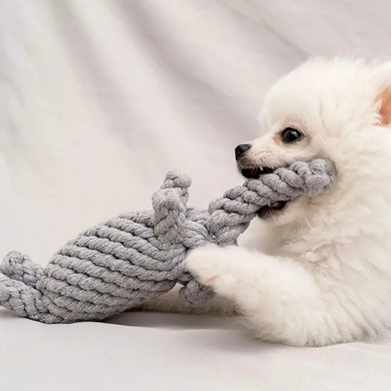 Cotton Rope Dog Toy for Chewing and Play - alternate angle view